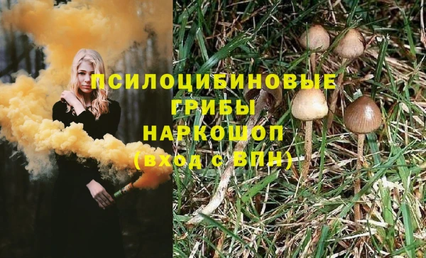ГАЛЛЮЦИНОГЕННЫЕ ГРИБЫ Зеленодольск