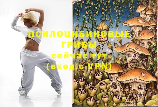 ГАЛЛЮЦИНОГЕННЫЕ ГРИБЫ Зеленодольск