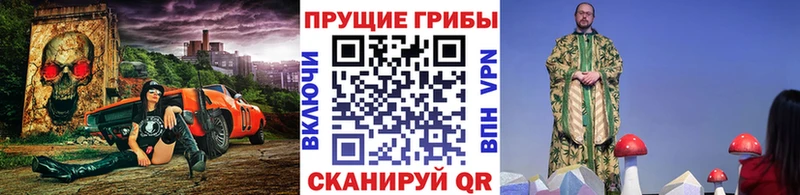 Галлюциногенные грибы прущие грибы Кинешма