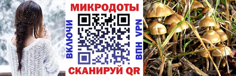 Псилоцибиновые грибы Magic Shrooms  Купить где  Кинешма 